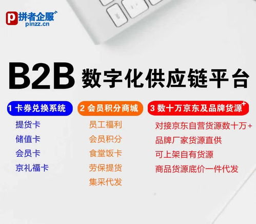 拼者企服 b2b數字化供應鏈,會員卡券積分兌換商城,對接京東及品牌商品數十萬種貨源