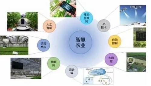 農產品溯源微防偽系統解決方案