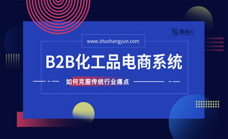化工行業(yè)b2b網(wǎng)站,未來(lái)幾年發(fā)展重點(diǎn)