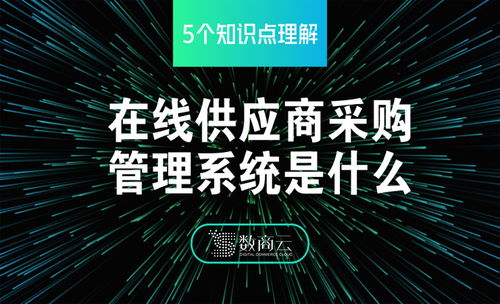 5個知識點理解在線b2b供應(yīng)商采購管理系統(tǒng)是什么