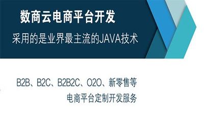 B2B2C多商戶系統搭建公司哪家靠譜