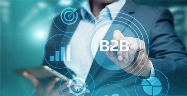 b2b電商系統(tǒng)開發(fā)模式分類